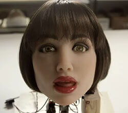 The Realbotix project aims to create a sexbot with the illusion of sentience.