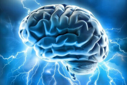 We may experience sexual pleasure by directly stimulating the brain in the future.