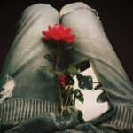 A rose and a smartphone