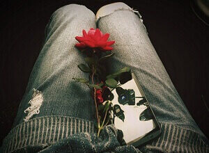 A rose and a smartphone