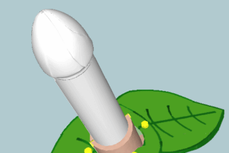 An open-source extendable dildo.