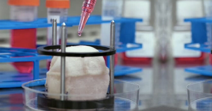 Anthony Atala grows human organs in his state-of-the-art lab.
