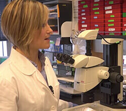 The ovary of the future may be a bioprosthetic that lets infertile women conceive.