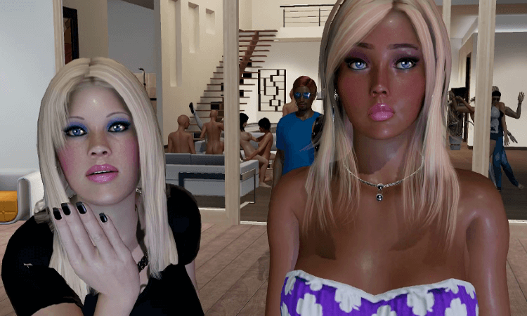 Chathouse3D is a multiplayer sex game that supports virtual reality.
