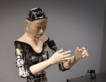 Repairing-Dolly