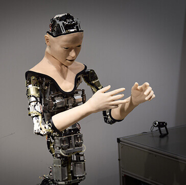 Repairing-Dolly