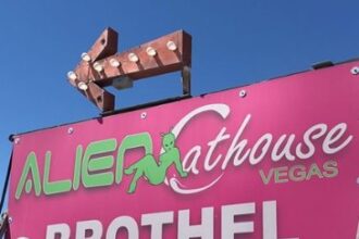 Alien Cathouse