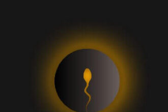 Sperm