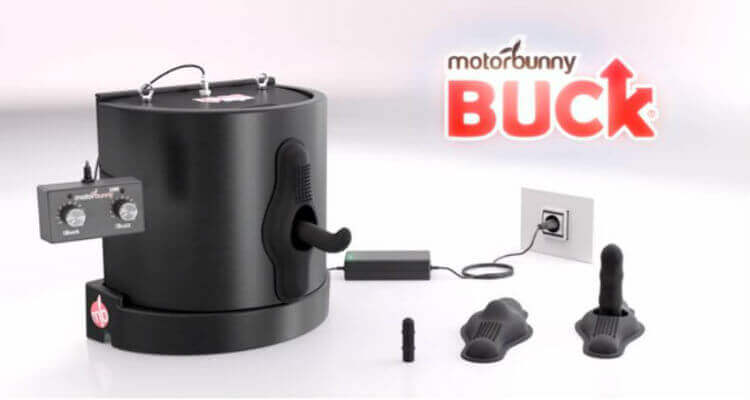 Motorbunny