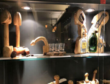 genitalia museums