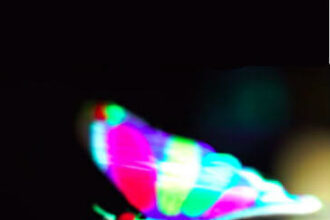 Haptic Sensations