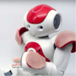 Sexbots