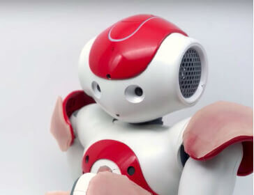 Sexbots
