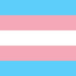 Transgender SexDolls