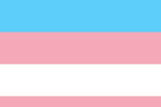 Transgender SexDolls