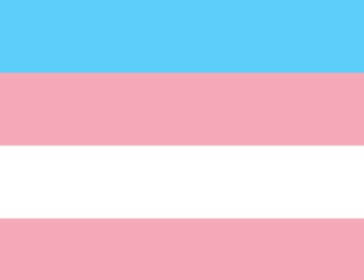 Transgender SexDolls