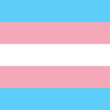Transgender SexDolls