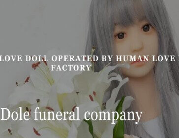 Mourn your artificial companion Sexdoll