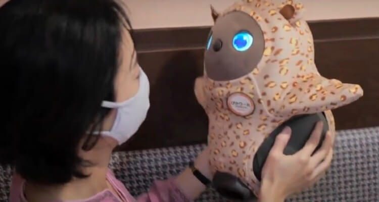 Image of a Female Customer Interacting with Cute Robots in LOVOT Cafe in Kawasaki, Japan