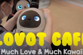 Image of a Female Customer Interacting with Cute Robots in LOVOT Cafe in Kawasaki, Japan