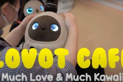 Image of a Female Customer Interacting with Cute Robots in LOVOT Cafe in Kawasaki, Japan