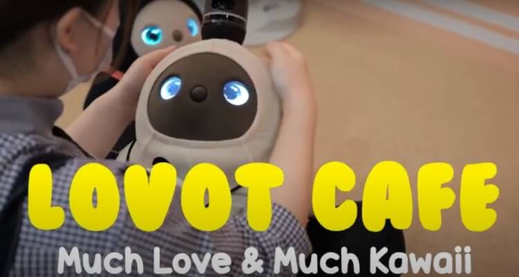 Image of a Female Customer Interacting with Cute Robots in LOVOT Cafe in Kawasaki, Japan