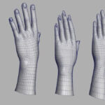 Image of 3D left hand Models