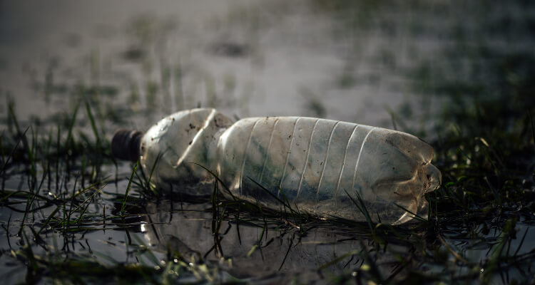 plastic water bottle waste
