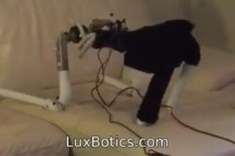 Screenshot of LuxBotics Robot robot prototype movement testing
