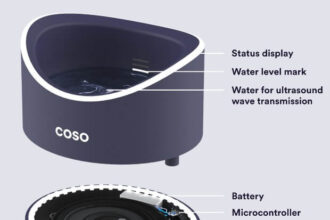 COSO birth control