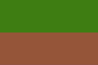 Sapiosexual flag