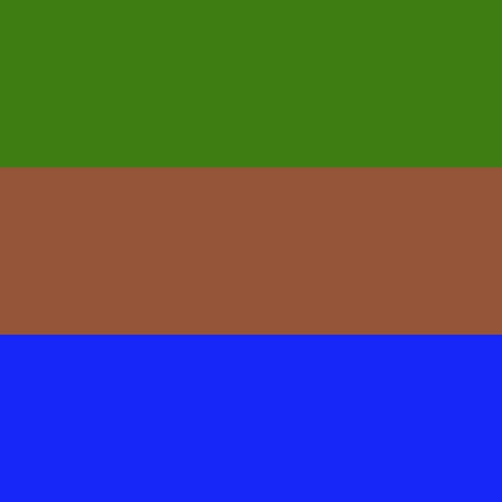 Sapiosexual flag