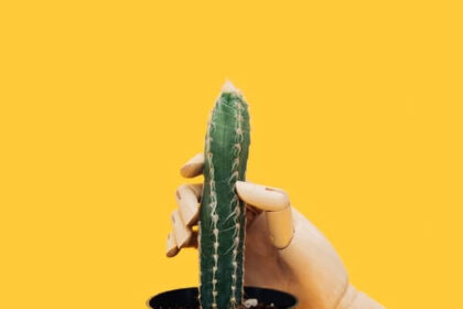 Phallic cactus with mannequin hand