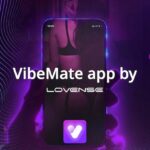 VibeMate promotional image with the app logo.